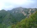 img003.jpeg.small.jpeg