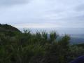 img011.jpeg.small.jpeg