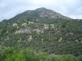 img015.jpeg.small.jpeg