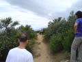 img019.jpeg.small.jpeg
