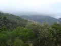 img022.jpeg.small.jpeg