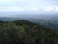 img026.jpeg.small.jpeg
