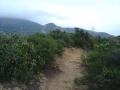 img028.jpeg.small.jpeg