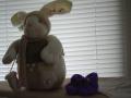 img001.jpeg.small.jpeg