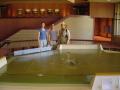 img051.jpeg.small.jpeg