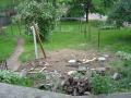img010.jpeg.small.jpeg