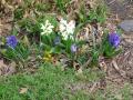 img002.jpeg.small.jpeg