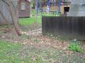 img009.jpeg.small.jpeg