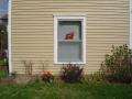 img012.jpeg.small.jpeg
