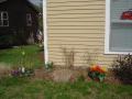img013.jpeg.small.jpeg