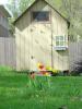 img017.jpeg.small.jpeg