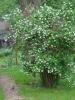 img021.jpeg.small.jpeg