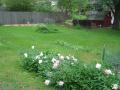 img023.jpeg.small.jpeg