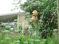 img024.jpeg.small.jpeg