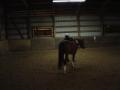 img004.jpeg.small.jpeg