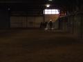 img006.jpeg.small.jpeg