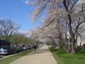 img005.jpeg.small.jpeg