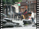 Thumbnail of video MVI_1910.AVI