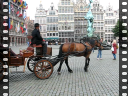 Thumbnail of video MVI_1916.AVI