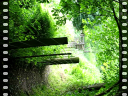 Thumbnail of video MVI_2470.AVI