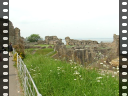 Thumbnail of video MVI_3050.AVI