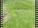 Thumbnail of video MVI_3311.AVI