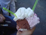 img024.jpeg.small.jpeg