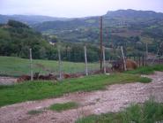 img025.jpeg.small.jpeg