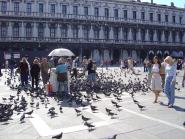 img015.jpeg.small.jpeg