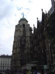 img011.jpeg.small.jpeg